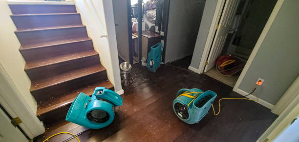 Best Fire Damage Restoration  in Atkins, VA