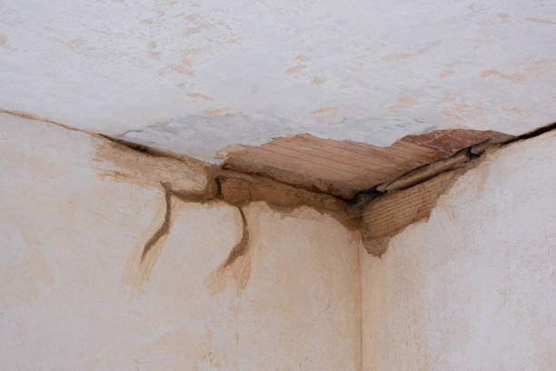 Best 24/7 water damage repair  in Atkins, VA