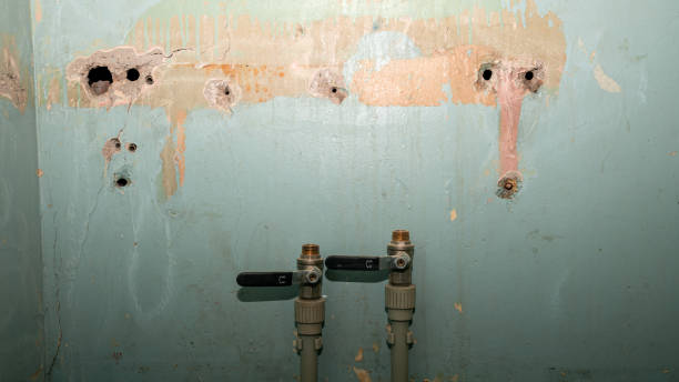 Water damage restoration experts in VA